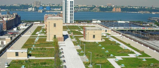 USPS Morgan Processing and Distribution Center Green Roof