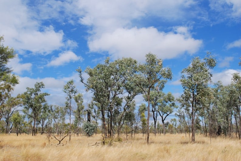Hancock Coal Environmental Approvals
