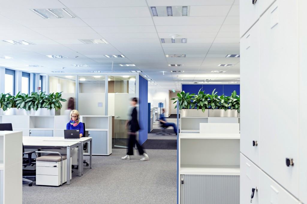 McAfee visual data 5