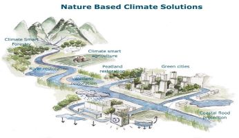 Illustration of large and small-scale nature-based solutions (NBSs