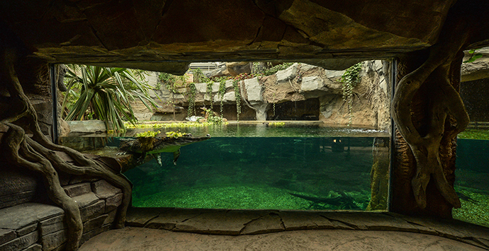 Figure 9_690x355_Chester Zoo Island