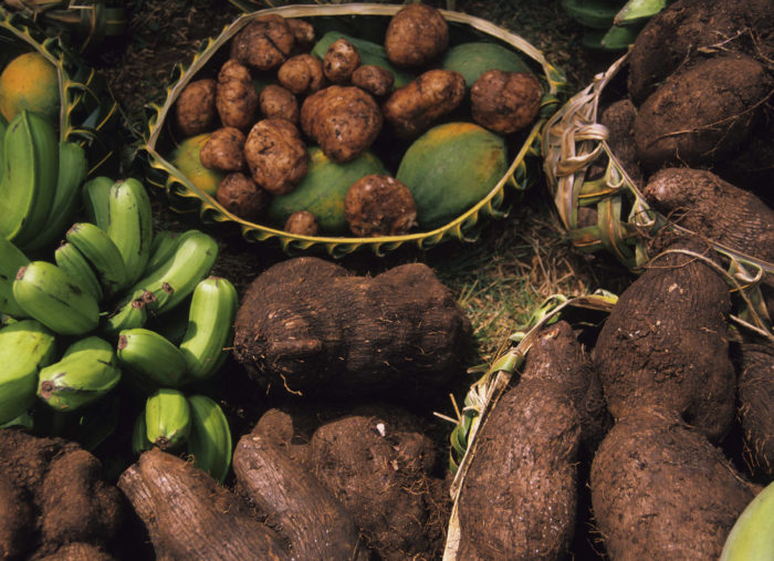 الوصول إلى أسواق البستنة والزراعة في المحيط الهادئ