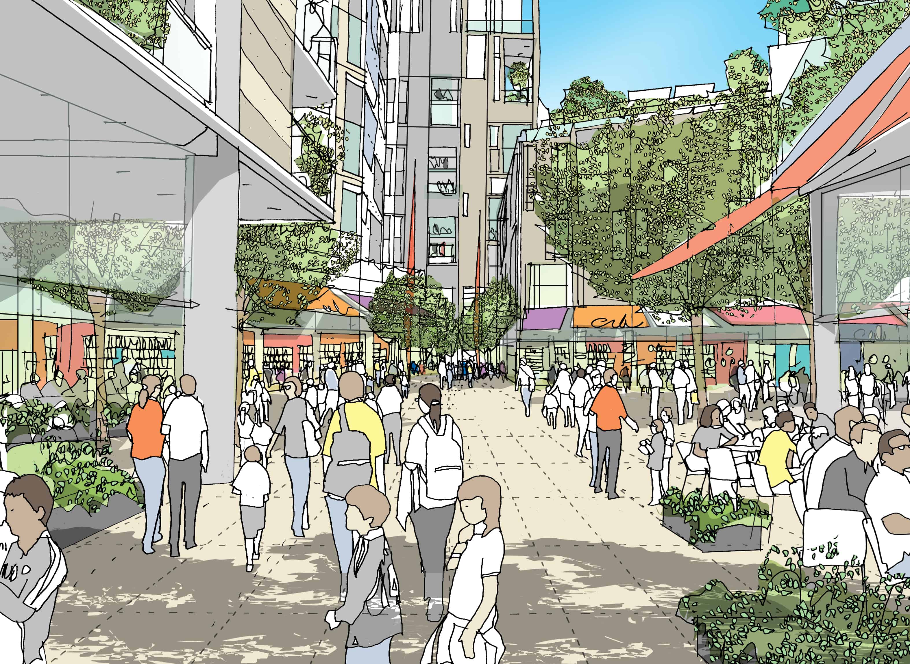 view 5 colour | Without Limits