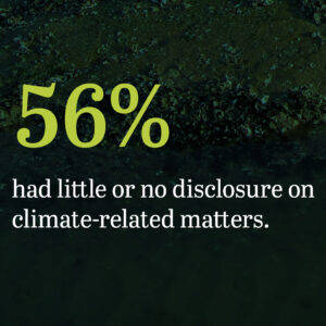 56% of companies had little or no disclosure on climate-related matters