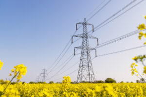 Electricity grid image to accompany article on DCO process for the UK's power grid upgrade
