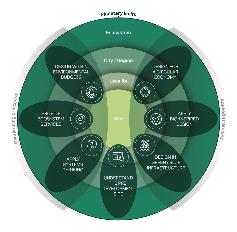 Diagram showing the synthesis of regenerative design principles (Regenerative by Design, David Cheshire, RIBA Publishing, 2024)