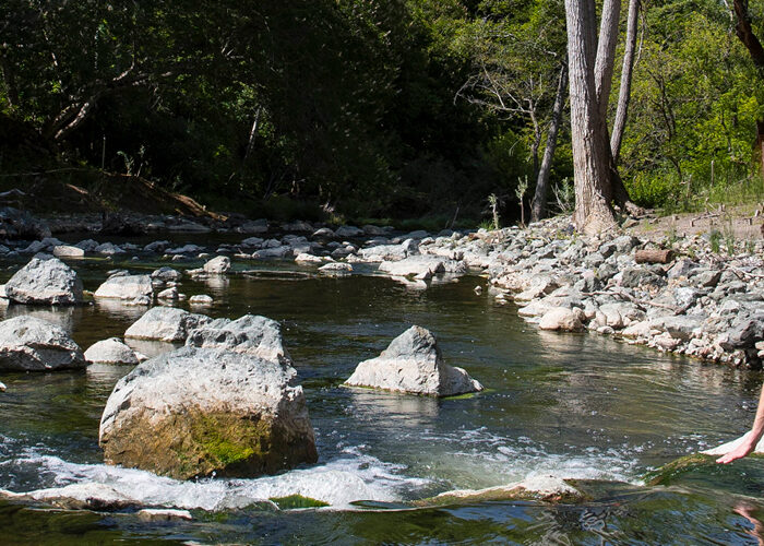 High-performance ecosystems: the cornerstone of nature positive urban spaces