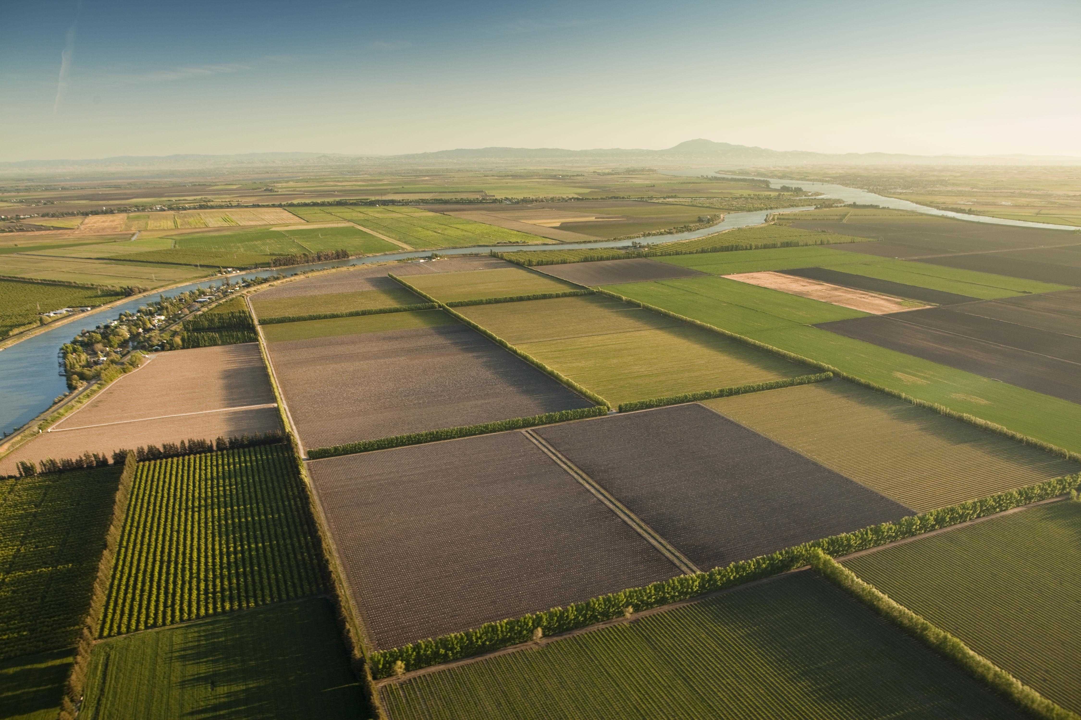 agriculture_sacramento_delta