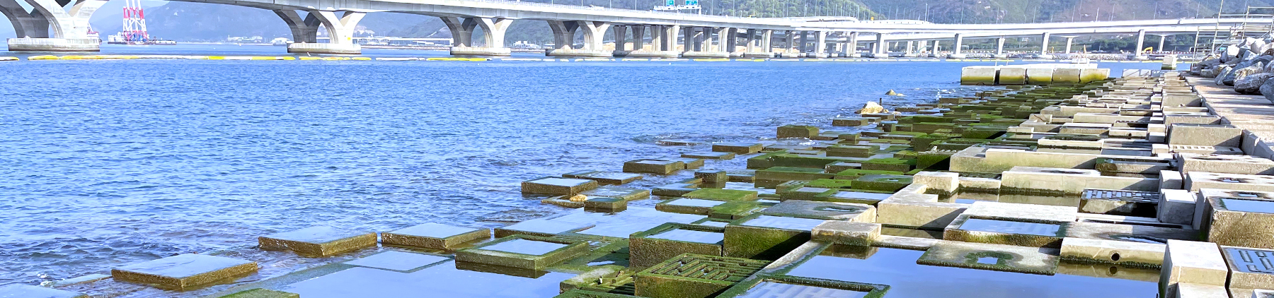 Tung Chung East New Town Extension: Pioneering Sustainable Reclamation ...