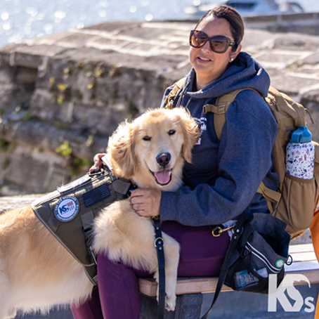 Southern Cross Service Dogs